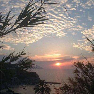 买大小单双彩票app